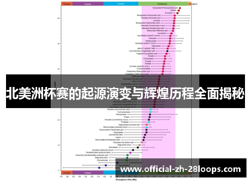 北美洲杯赛的起源演变与辉煌历程全面揭秘 北美洲杯赛的起源演变与辉煌历程全面揭秘