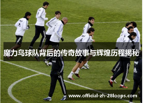 魔力鸟球队背后的传奇故事与辉煌历程揭秘