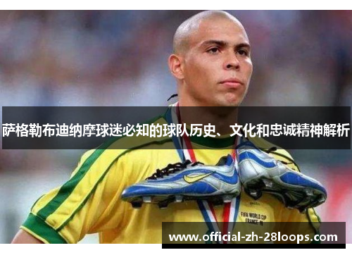 萨格勒布迪纳摩球迷必知的球队历史、文化和忠诚精神解析