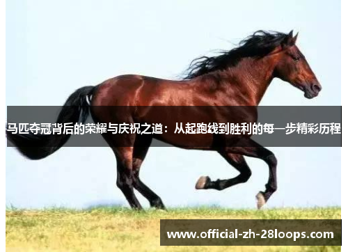 马匹夺冠背后的荣耀与庆祝之道:从起跑线到胜利的每一步精彩历程 马匹夺冠背后的荣耀与庆祝之道:从起跑线到胜利的每一步精彩历程