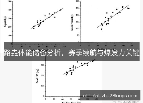路垚体能储备分析,赛季续航与爆发力关键 路垚体能储备分析,赛季续航与爆发力关键